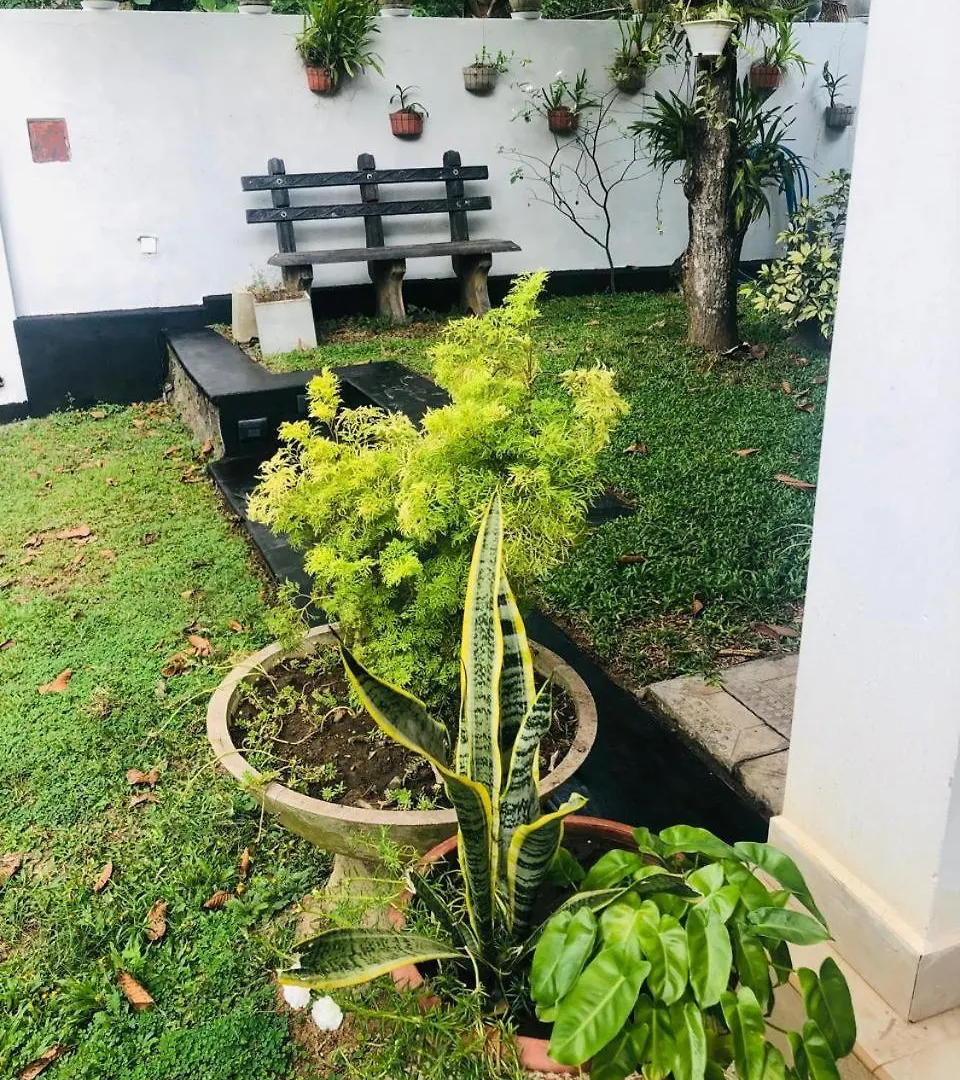 Villa De Wick'S Kimbulapitiya